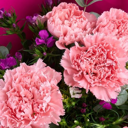 Lavande Garden – Lila Bukette Pembe Karanfiller ve Hüsnüyusuflar