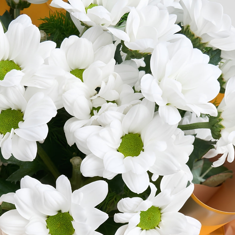 Sunny Daisy – Sarı Bukette Beyaz Papatyalar
