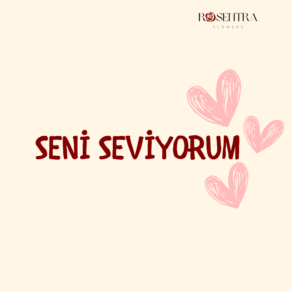 Pankart - Seni Seviyorum