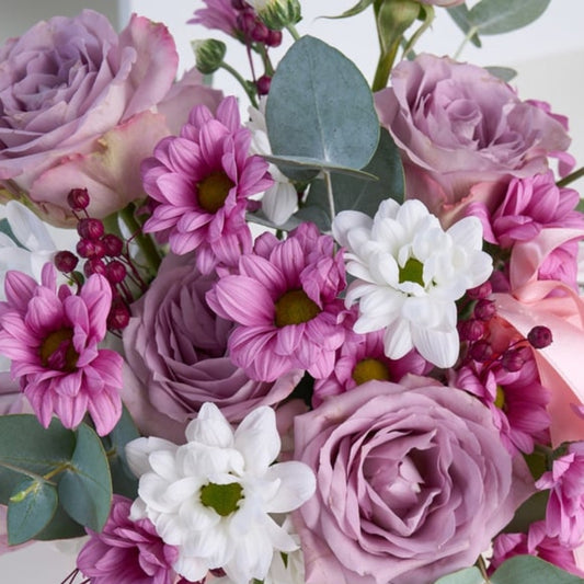 Lavender Blush – Pembe Saksıda Lila Gül, Beyaz ve Pembe Papatyalar