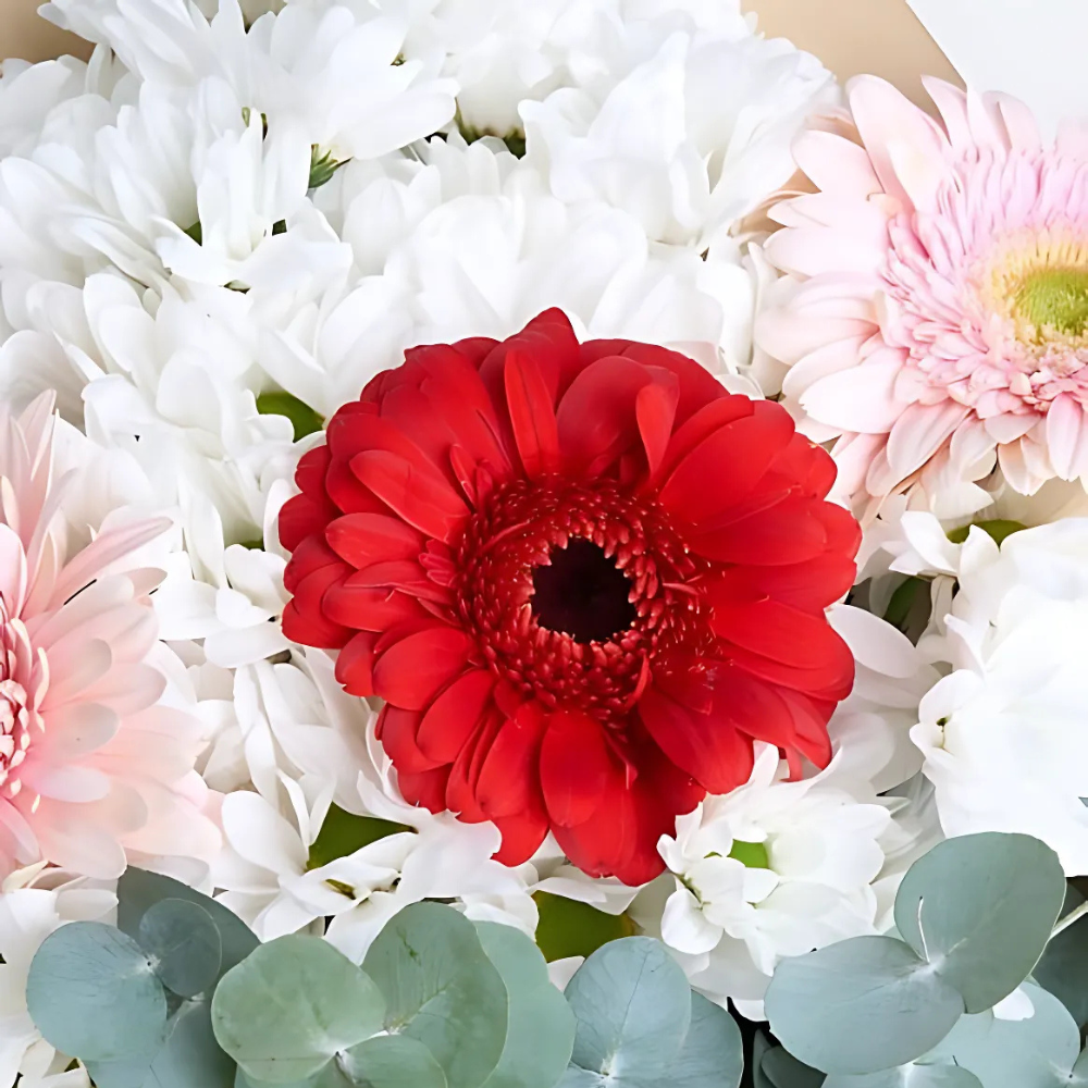 🌺 Çiçeklerle Sevdiklerinize Sürpriz Yapmanın Yolları - Rosentra