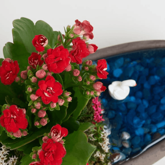 Çiçeklerin Tarihçesi ve Simgesel Anlamları - Rosentra | Premium Flowers