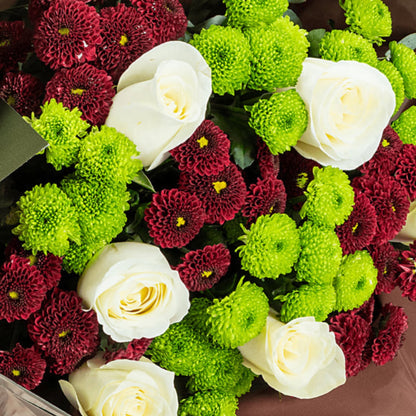 Natural Calm – Yeşil Kahve Bukette Beyaz Gül ve Kasımpatı