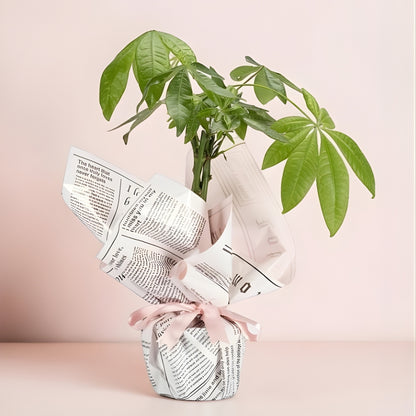 Blush Fortune – Pembe Gazete Desen Buketli Polimer Saksıda Pachira