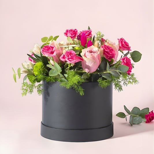 Rose Blush Noir – Siyah Kutuda Pembe Güller ve Haworthia