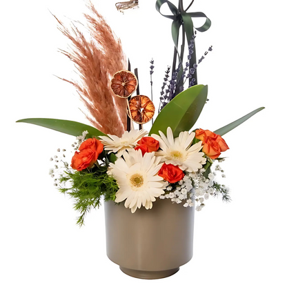 Gri Saksıda Papatya ve Gül Süslemeli Beyaz Orkide - Rosentra | Premium Flowers