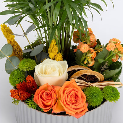 Green Harmony – Gri Polimer Saksıda Chamdora Elegans ve Kalanchoe