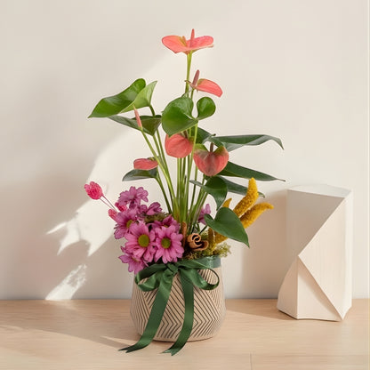 Linea Anthurium – Geometrik Çizgi Desenli Saksıda Antoryum