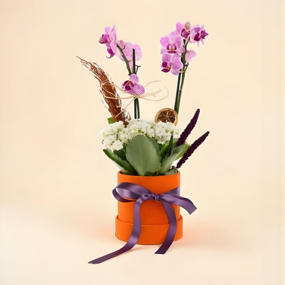 Citrus Bloom – Turuncu Kutuda Mini Mor Orkide ve Beyaz Kalanchoe