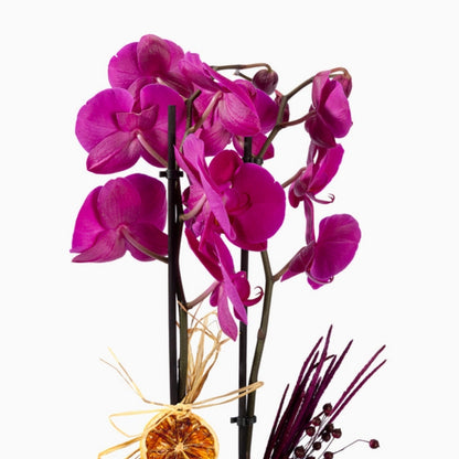 Émeraude Violetta – Sarı Bukete Mor Çift Orkide ve Fenix