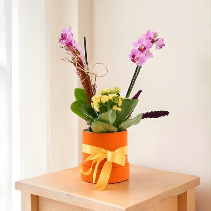 Solar Violet – Turuncu Kutuda Mini Mor Orkide ve Sarı Kalanchoe