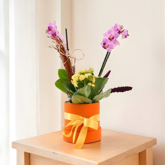 Solar Violet – Turuncu Kutuda Mini Mor Orkide ve Sarı Kalanchoe