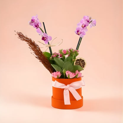 Peach Orchidée – Turuncu Kutuda Mini Mor Orkide ve Pembe Kalanchoe