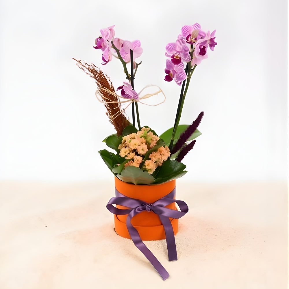 Sunset Duo – Turuncu Kutuda Mini Mor Orkide & Turuncu Kalanchoe