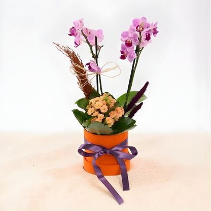 Sunset Duo – Turuncu Kutuda Mini Mor Orkide & Turuncu Kalanchoe
