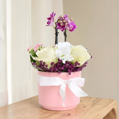 Blush Pearl – Pembe Beton Saksıda Mini Orkide ve Beyaz Güller