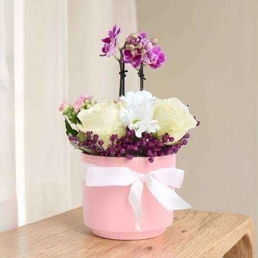 Blush Pearl – Pembe Beton Saksıda Mini Orkide ve Beyaz Güller