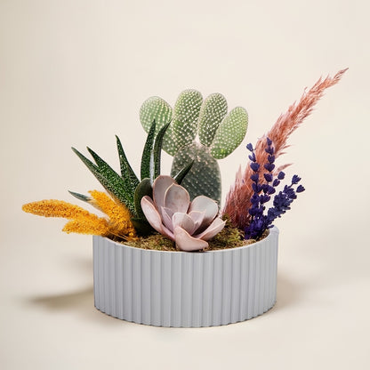 Desert Succulent – Gri Polimer Saksıda Sukulentler ve Sarı Setteria