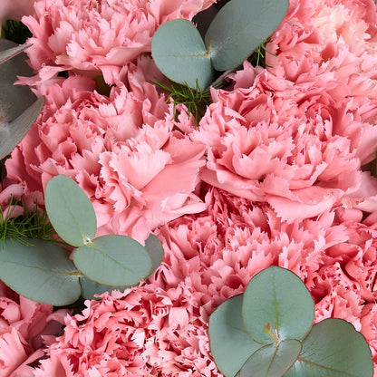 Rose Aquarium – Cam Akvaryumda Pembe Karanfiller