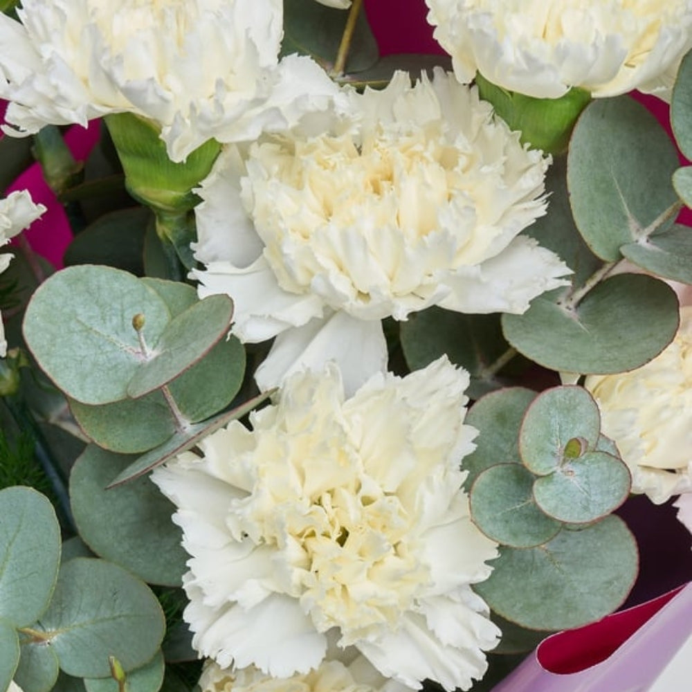 Ivory Lila – Lila Pembe Bukette Beyaz Karanfiller