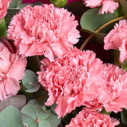 Pink Motion – Lila ve Canlı Pembe Bukette Pembe Karanfiller