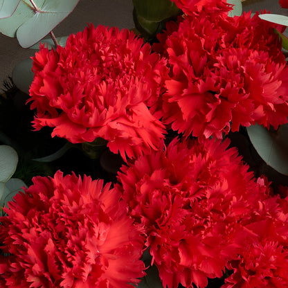 Scarlet Carnation – Kırmızı Karanfil Çiçek Buketi