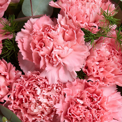 Powder Bloom – Pudra Bukette Pembe Karanfiller
