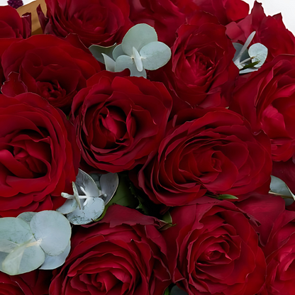 Premium Siyah Kağıtta 60 Kırmızı Gül Buketi - Rosentra | Premium Flowers