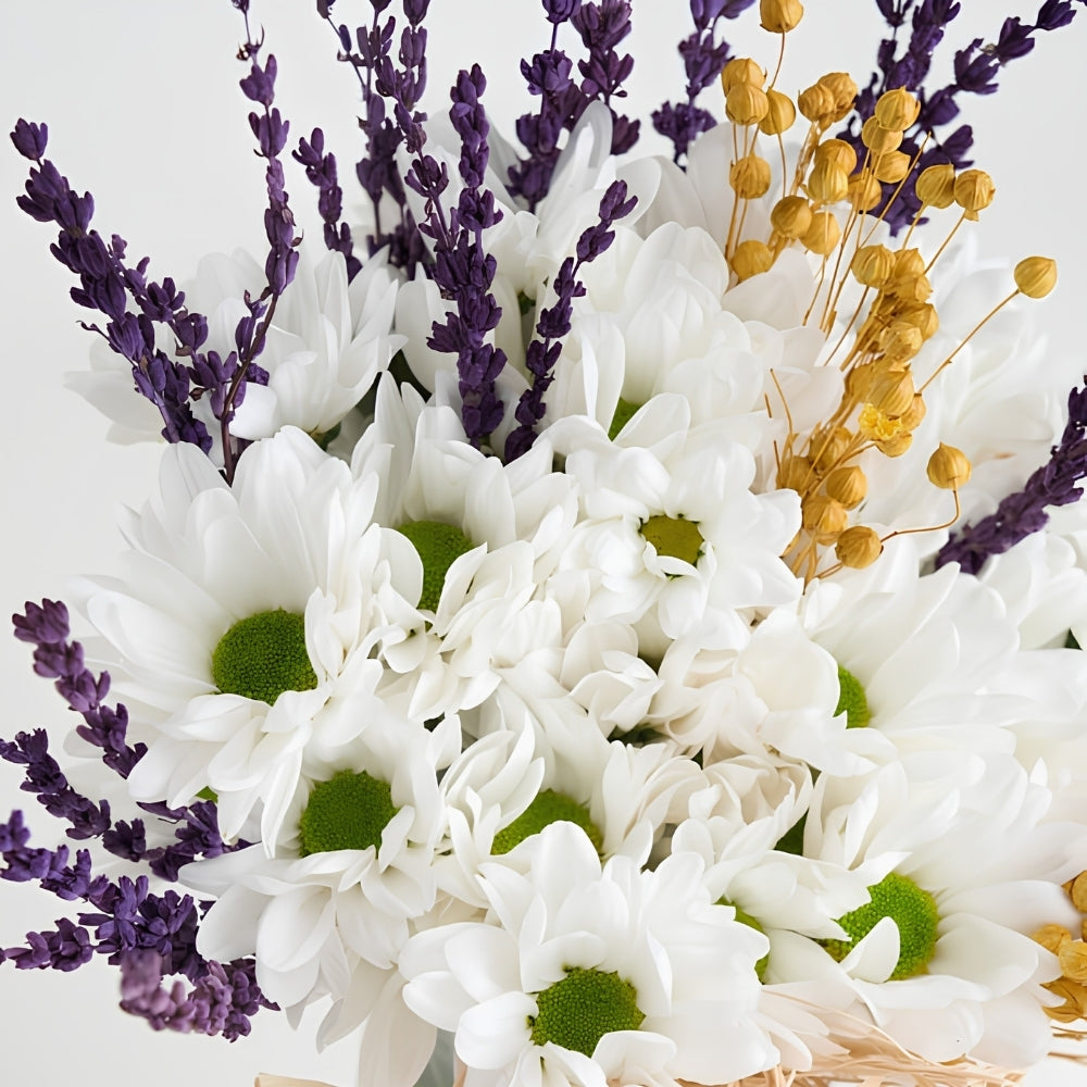 Pure Daisy Vase – Cam Vazoda Beyaz Papatyalar