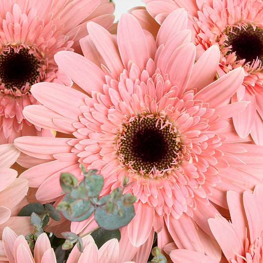 Pink Crystal Glow – Kristal Cam Vazoda Pembe Gerberalar