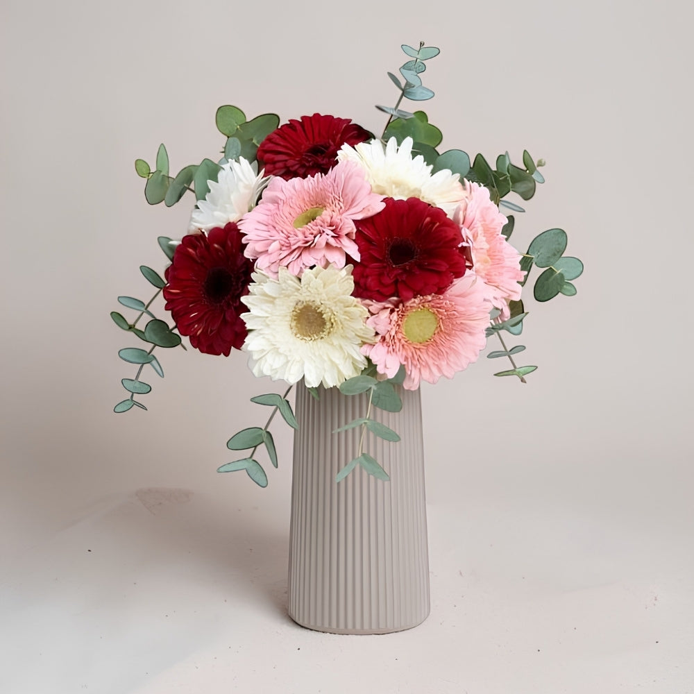 Gerbera Fusion – Bej Çizgili Polimer Vazoda Pembe Beyaz Kırmızı Gerbera