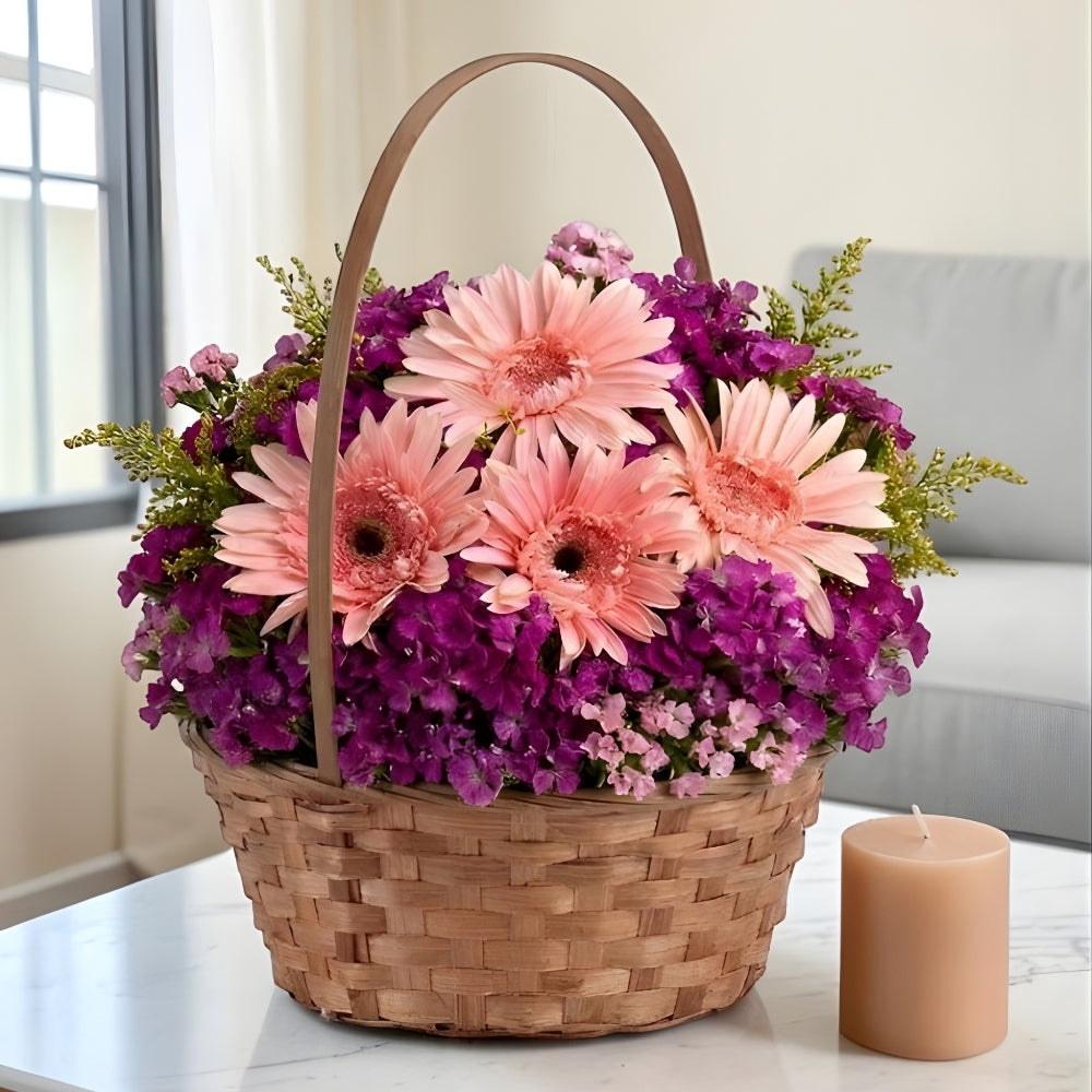 Belle Panier – Sepette Pembe Gerbera ve Hüsnüyusuf