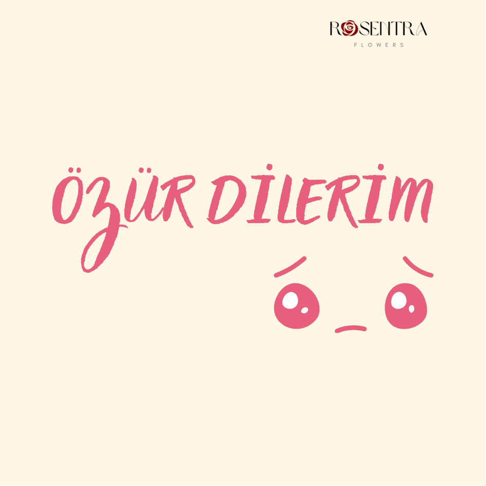 Pankart - Özür Dilerim