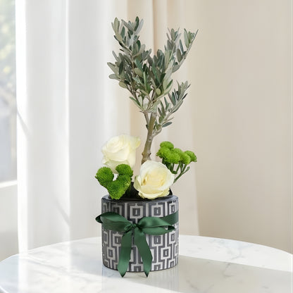 Perla Olive Duo – Desenli Saksıda Zeytin Ağacı ve Beyaz Güller