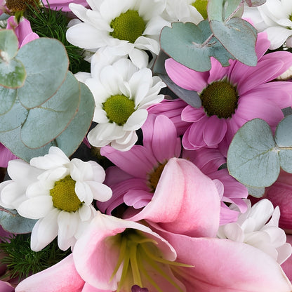 Blush Garden – Pembe Saksıda Pembe Gül, Lilyum ve Papatyalar