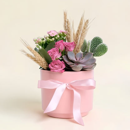 Desert Blush – Pembe Beton Saksıda Opuntia Microdasys ve Kalanchoe