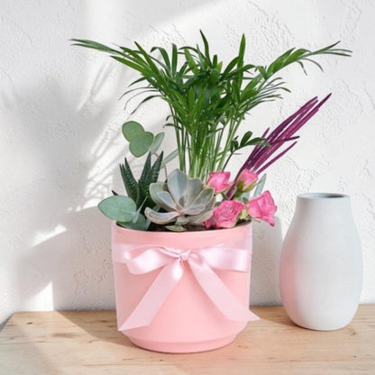 Urban Pink Leaf – Pembe Beton Saksıda Chamaedorea Elegans ve Güller