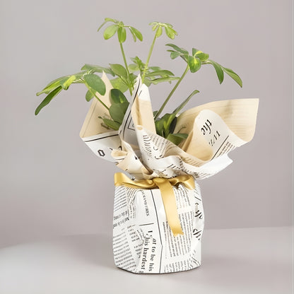 Grigio Wrap – Gri Gazete Buketli Polimer Saksıda Schefflera