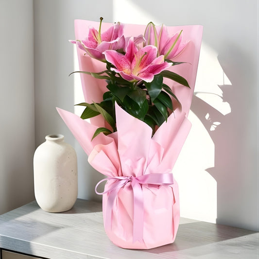 Pink Aura Lily – Pembe Buket Kağıtlı Polimer Saksıda Pembe Lilyum