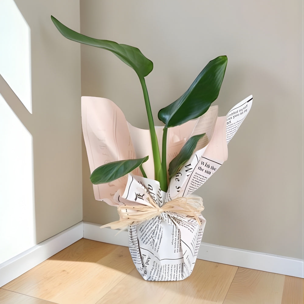 Urban Tropica – Gazete Buket Kağıtlı Starliçe Bitkisi