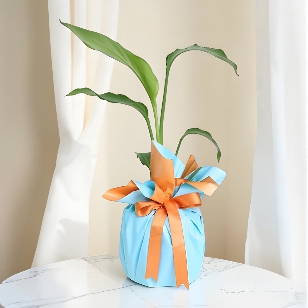 Azure Strelitzia – Turuncu Mavi Buketli Polimer Saksıda Starliçe