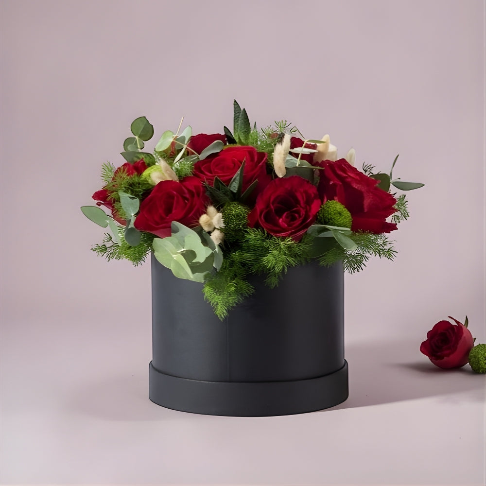 Noir Succulent Love – Siyah Kutuda 8 Kırmızı Gül ve Haworthia