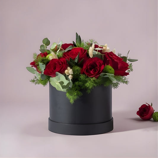 Noir Succulent Love – Siyah Kutuda 8 Kırmızı Gül ve Haworthia