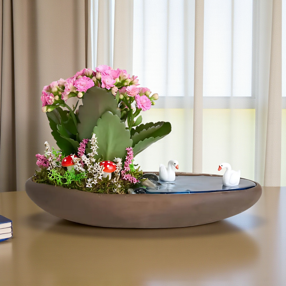 Saksıda Pembe Kalanchoe Teraryum